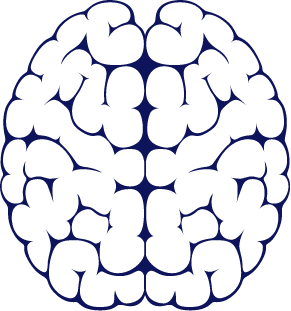 BrainSVG